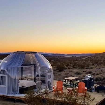 Jthavn-Joshua Tree Remote Dessert Bubble Dome Buitenkant foto