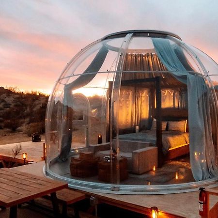 Jthavn-Joshua Tree Remote Dessert Bubble Dome Buitenkant foto