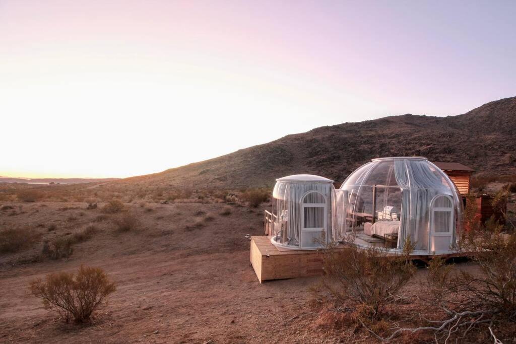 Jthavn-Joshua Tree Remote Dessert Bubble Dome Buitenkant foto