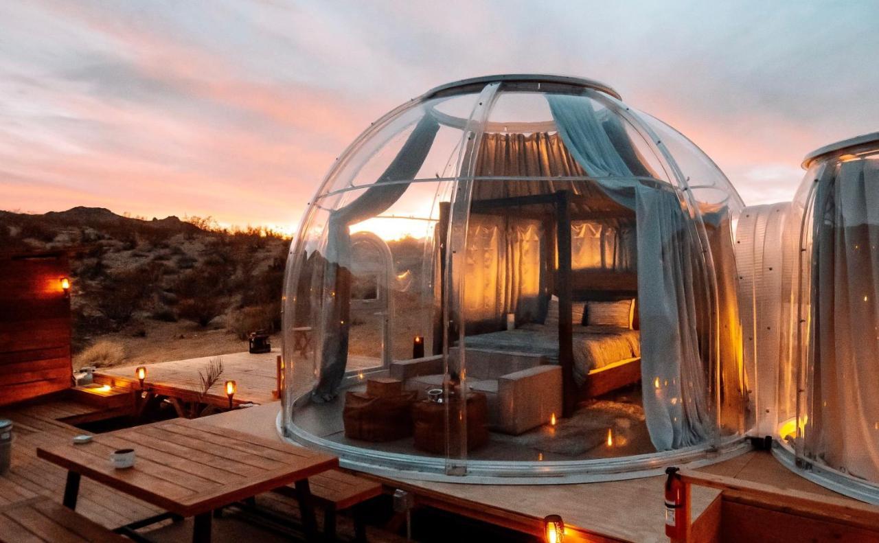 Jthavn-Joshua Tree Remote Dessert Bubble Dome Buitenkant foto