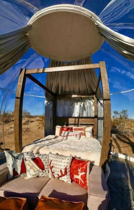 Jthavn-Joshua Tree Remote Dessert Bubble Dome Buitenkant foto