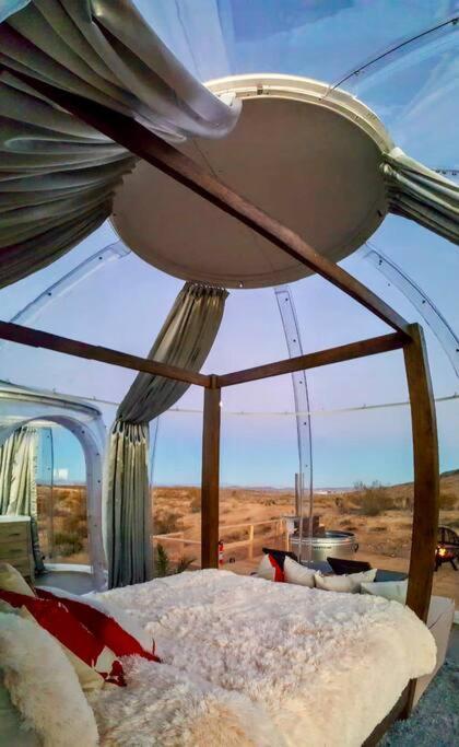 Jthavn-Joshua Tree Remote Dessert Bubble Dome Buitenkant foto