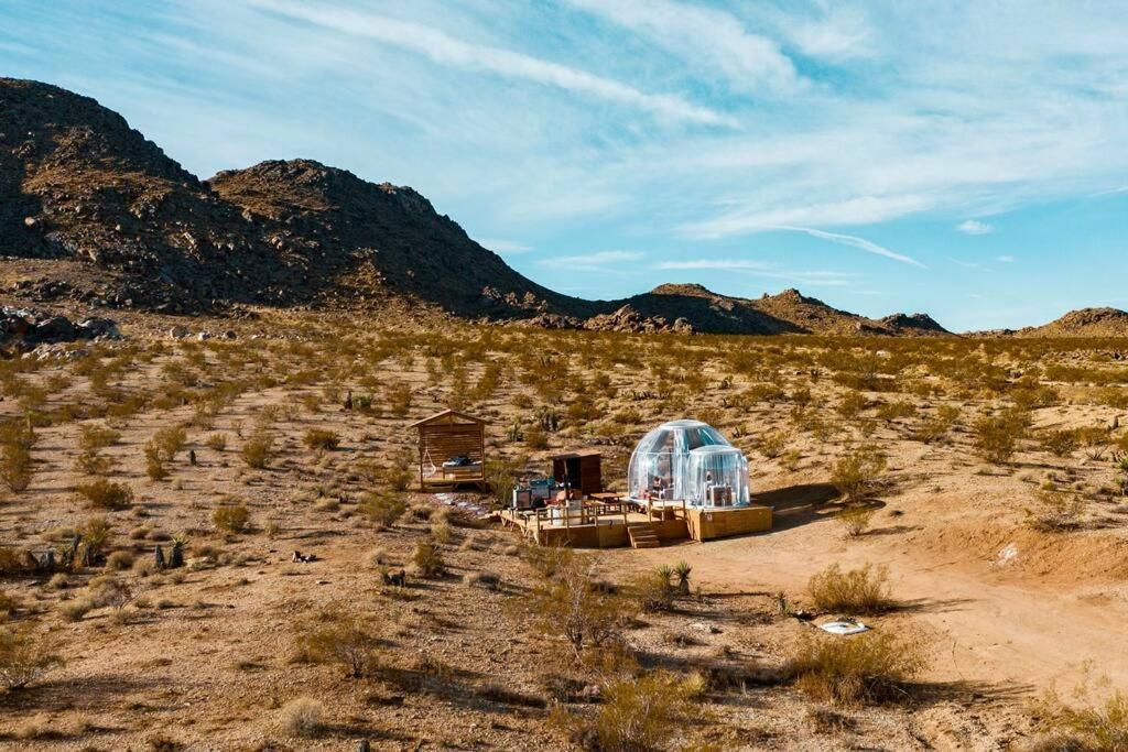 Jthavn-Joshua Tree Remote Dessert Bubble Dome Buitenkant foto