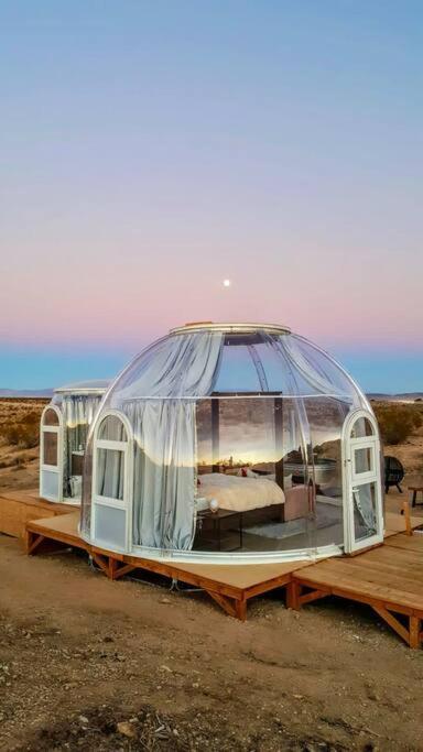 Jthavn-Joshua Tree Remote Dessert Bubble Dome Buitenkant foto