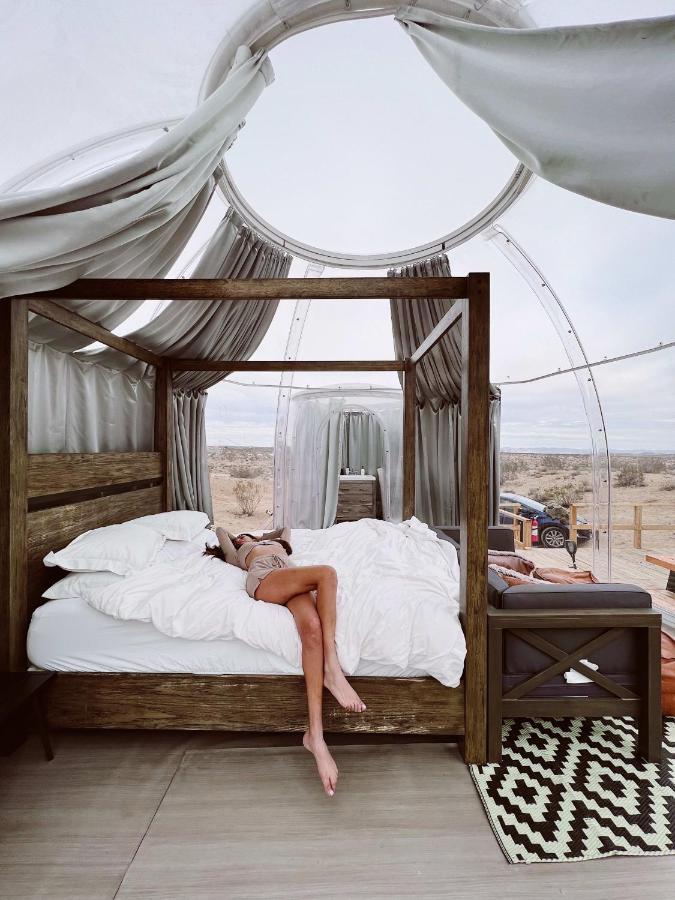 Jthavn-Joshua Tree Remote Dessert Bubble Dome Buitenkant foto
